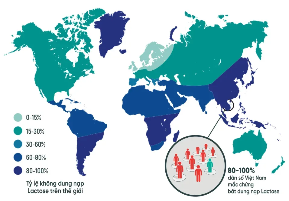 Bất Dung Nạp Lactose Là Gì?